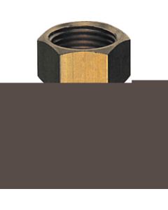 Adaptor for Copper Pipe With Nut 1อัน