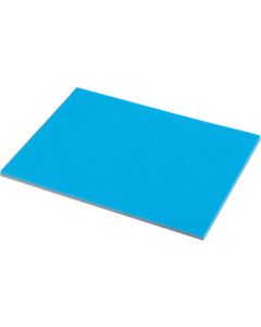 5S Manage Sheet
