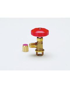 Tube Piercing Valve 1อัน