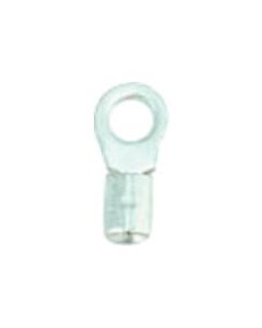 หางปลาเปลือย (100 ชิ้น)