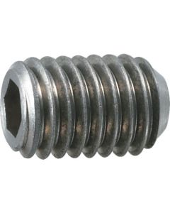 Hexagon Socket Head Set Screw (titanium)