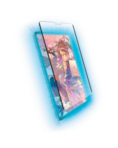 iPad Screen Protector 11
