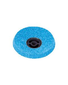 Bevel Disc
