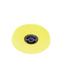 Bevel Disc