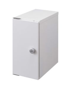 Delivery Box