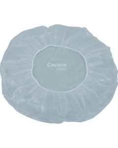 Rain cap for Container