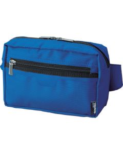 Compact Waist Pouch