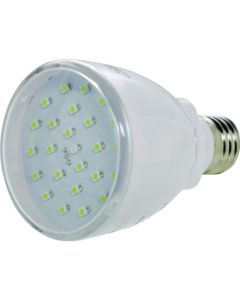 LED Bulb