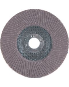 Technodisc A (ชนิด S) เส้นผ่านศูนย์กลางภายนอก x เส้นผ่านศูนย์กลางรู: 100 x 15 มม. ขนาดอนุภาค (#) 120
