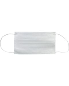 Regular Mask  กล่องละ 100 แผ่น
