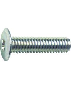 Ultra Low Head Machine Screw (steel)