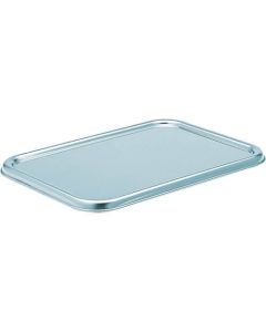 Deep Stainless Steel Tray