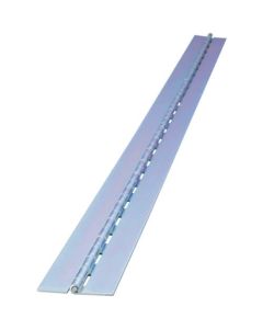 Iron Continuous Hinge