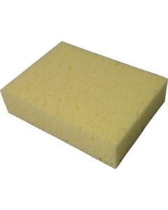 Absorbing Sponge