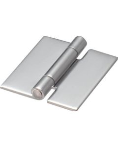 Flat Hinge
