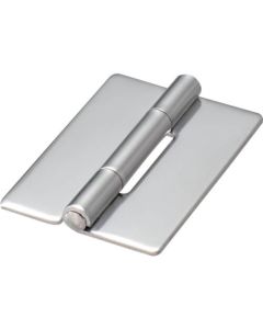 Flat Hinge