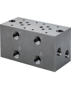Manifold Block