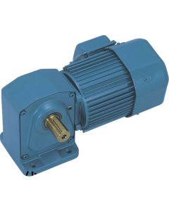 TMHL-02-20B 1อัน