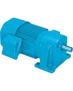 Three-Phase Gear Motor (parallel shaft)