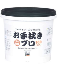 Wet Wiper Wiping Pro