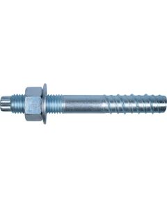 Fixing Screw Anchor Tap Star 10 อัน