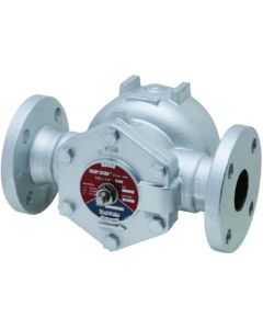 Steam Trap TSF-11F-10 1อัน