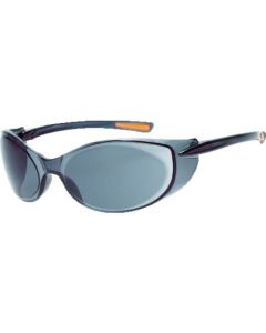Double Lens Safety Glasses