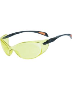 Double Lens Safety Glasses