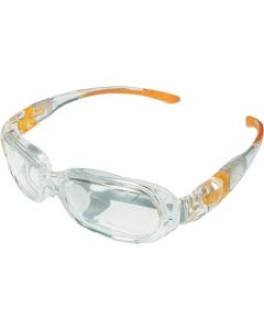 Eye Fit Safety Glasses