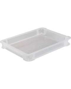 Skeleton Color Container 3L Transparen