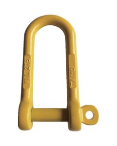Strong Long Shackles Guard