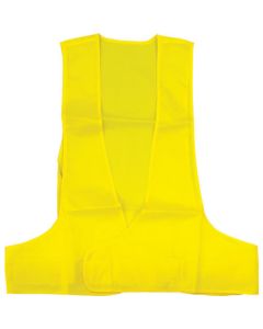 Color Vest