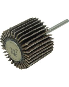 Flap Wheel (10 Set)