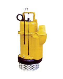 Submersible Pump(Auto)