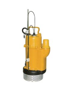 Submersible Pump(Auto)