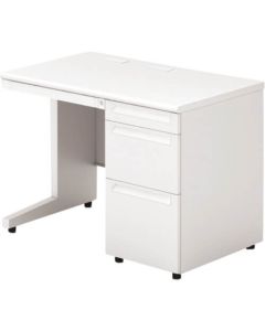 US-NS106D-3 WS/W4 1อัน