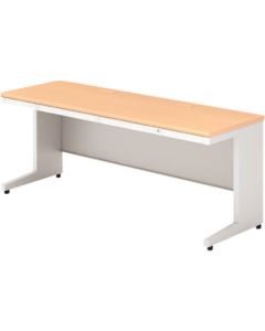 US-NS116H WM/W4 1อัน