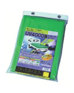 UVTG2