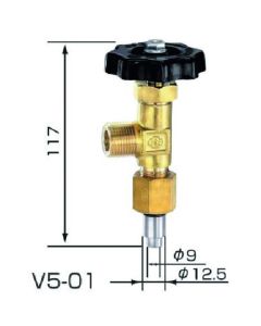 V5-01 outlet valve for O2