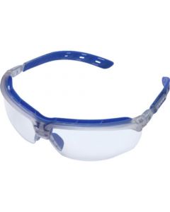Double Lens Safety Glasses