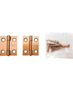Standard Thin Type Color Hinge ถุงละ 2แผ่น