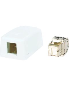 แจ็ค Cat6A RJ45 + เต้าเสียบเปิด (1 พอร์ต)