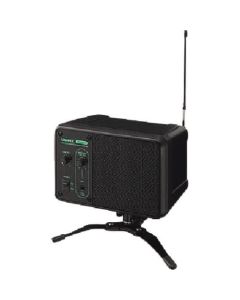 Wireless Monitor Speaker 1อัน