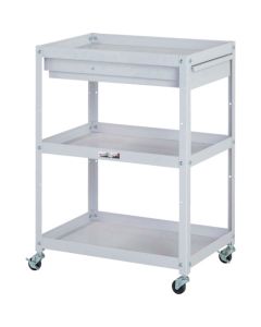 WCC-3-P