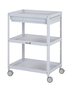 WCCS-3-P