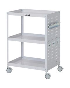 WCPS-3-P
