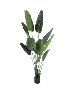 Article Foliage Plant  อันละ 1 อัน