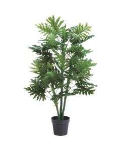 Article Foliage Plant  อันละ 1 อัน