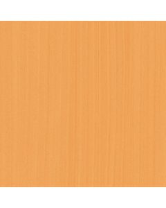 WG2244 1อัน