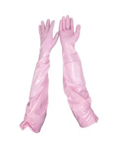 Gloves 60ชุด